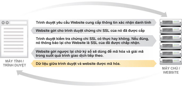 SSL lam viec nhu the nao - SSL làm việc như thế nào